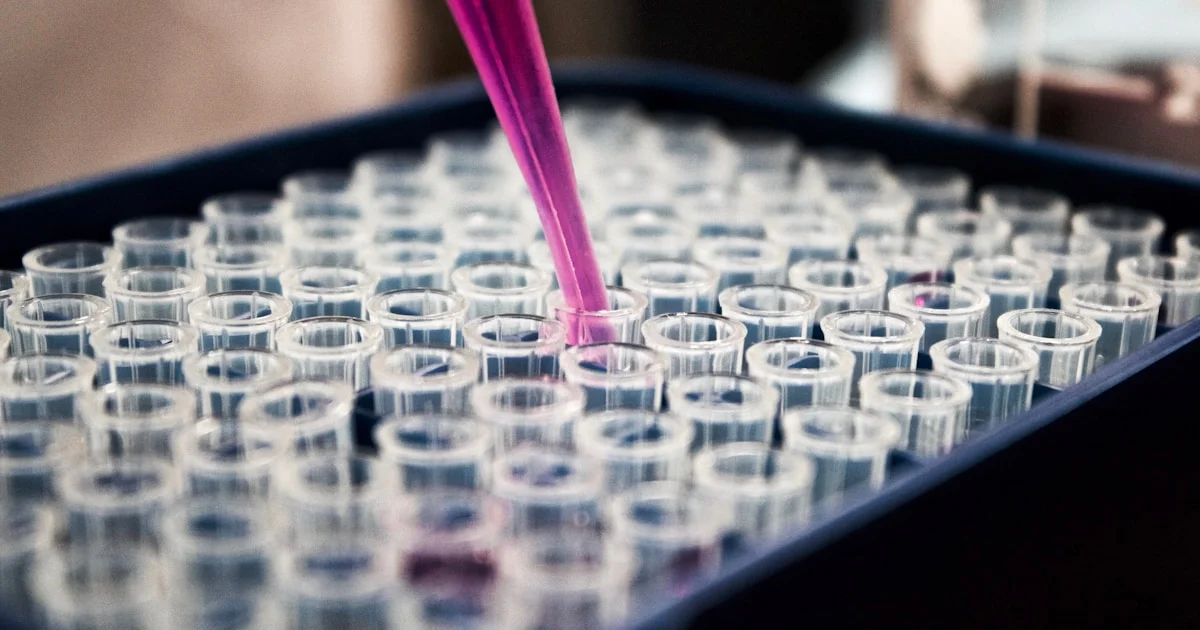 The Complete Science of Micronutrients: What Every Adult Should Know About Daily Nutrition