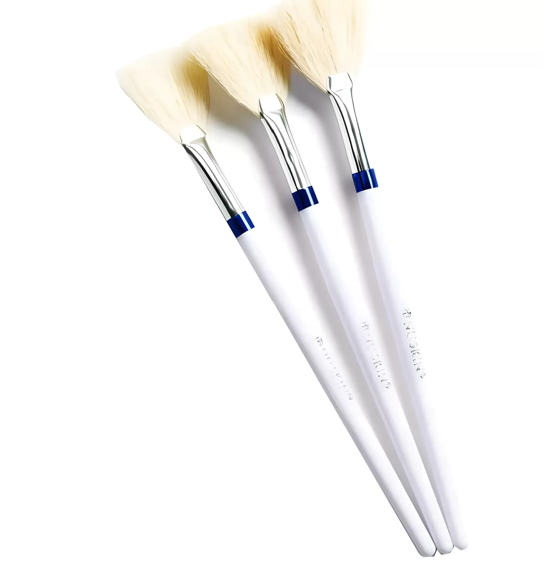 Fan Lift Brush (3/pkg) (FR/BE/CH/LU/EU)